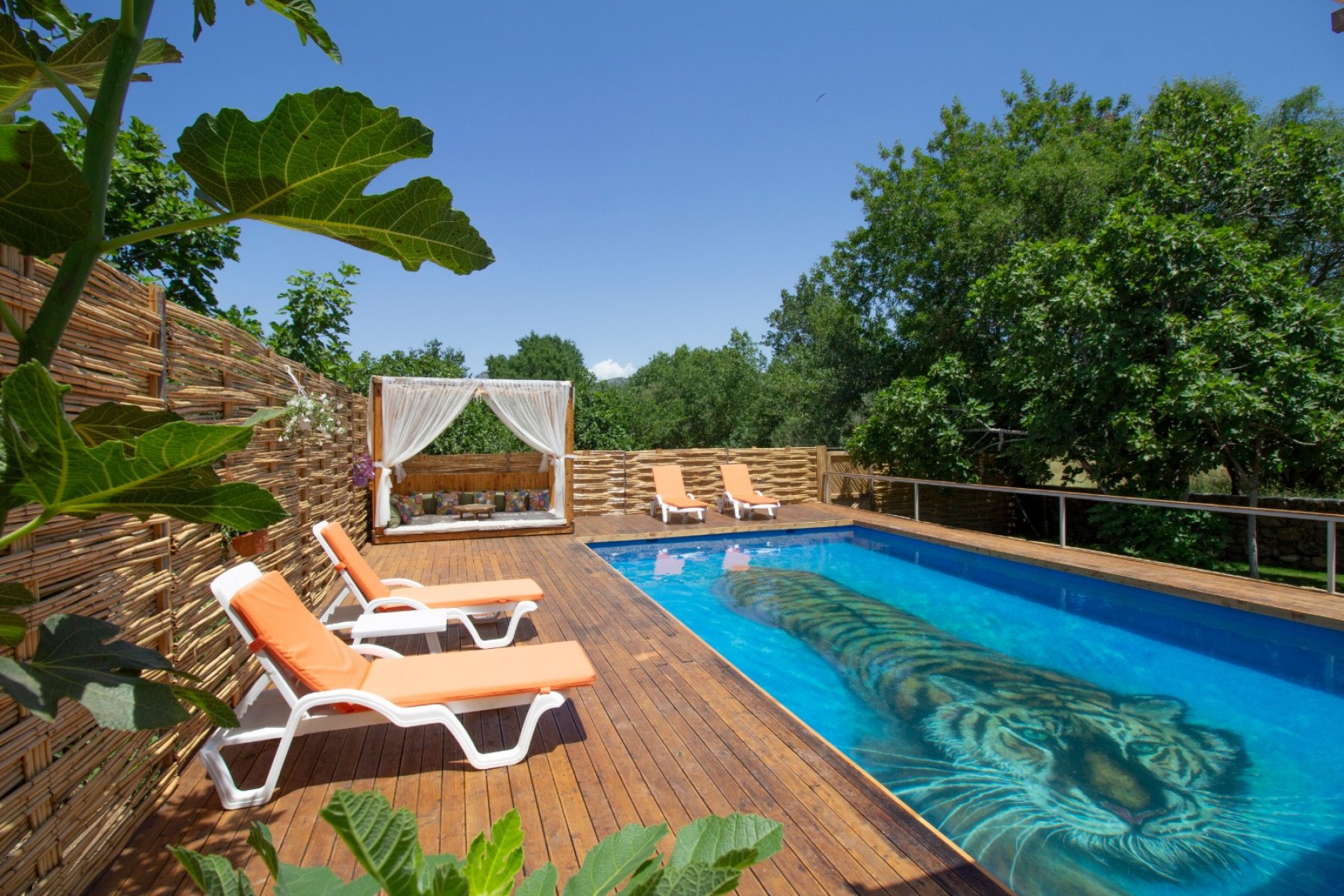 CLV701 Villa Mango Fethiye Çalış Plajı özel havuzlu kiralık tatil villa
